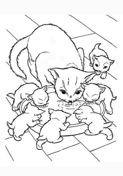 Котенок. Раскраска
