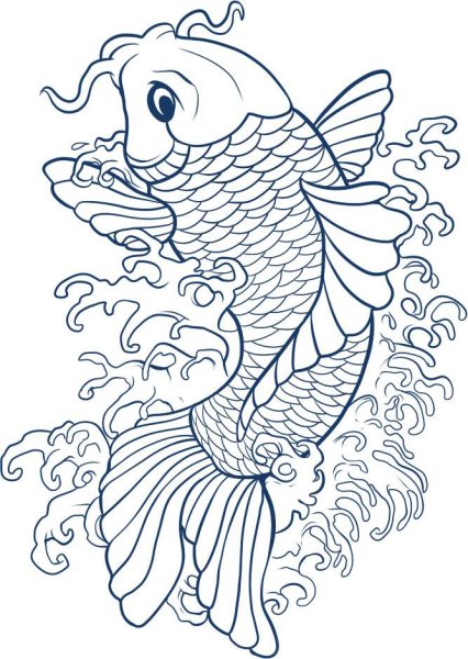 Карпы кои