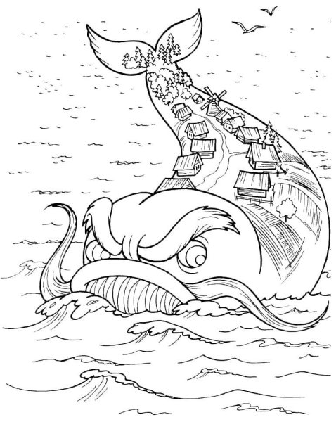 Контуры морскогококька
