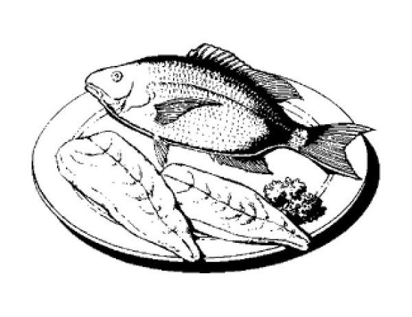Раскраски еда рыба (46 фото)