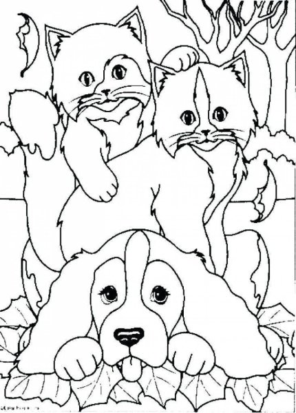 Кошки и собаки. Раскраска