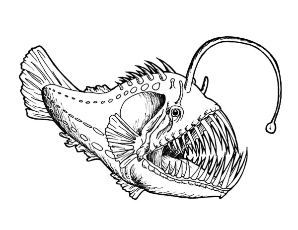 Раскраски рыба монстр (45 фото)