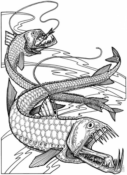 Морские монстры раскраска