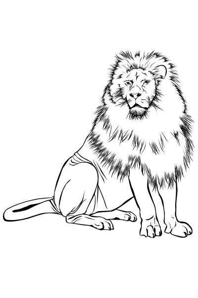 Лев для раскрашивания