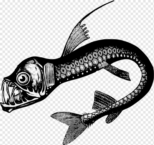 Каламоихт калабарский – ископаемая рыба-змея