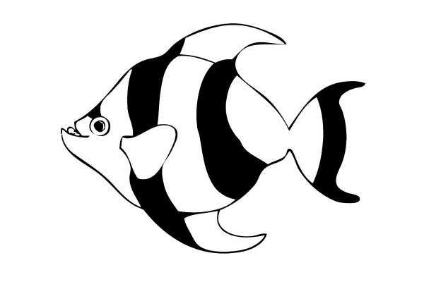 Раскраски рыба скалярия (41 фото)