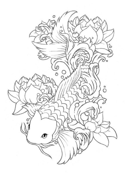 Карпы кои