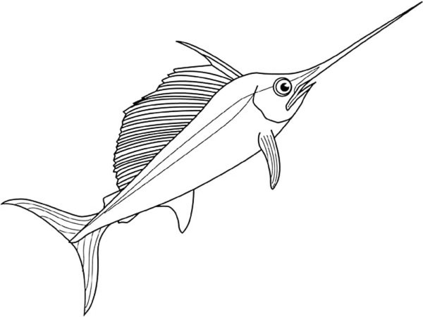 Морские рыбы раскраска