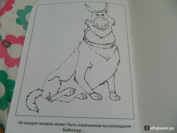 Самовар водная книжка-раскраска: Бельчонок