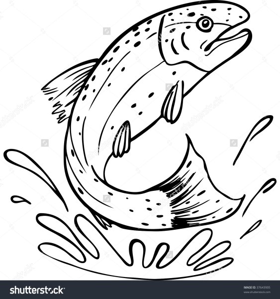 Раскраски рыба форель (44 фото)