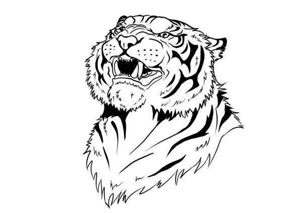 Раскраски злой тигр (47 фото)