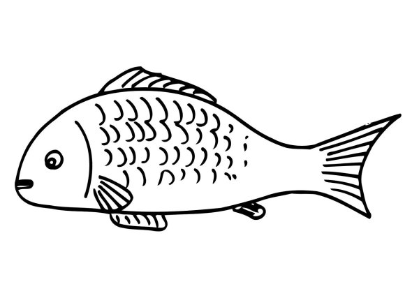 Раскраски рыбка в руках (45 фото)