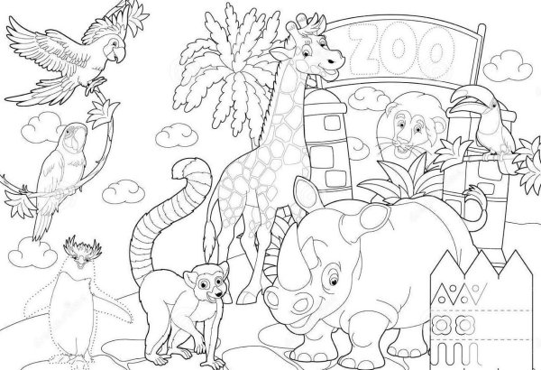 Раскраска зоопарк для детей 4-5 лет
