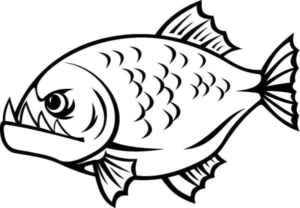 Морские пираньи раскраски