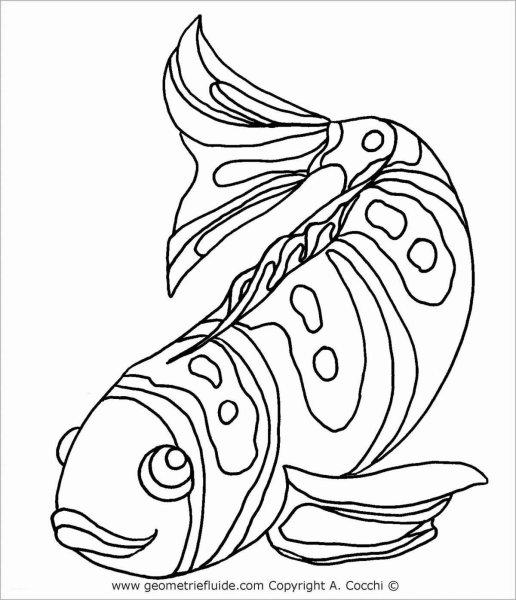 Раскраски рыбка мандаринка (42 фото)
