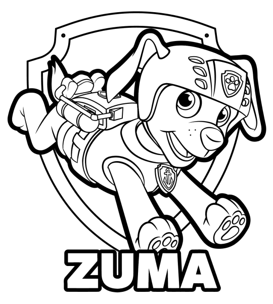Paw Patrol Rocky раскраска