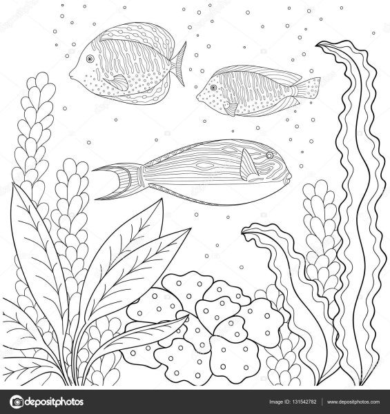 Раскраски рыбка с водорослями (46 фото)