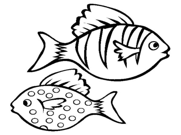 Раскраски рыбка чб (45 фото)