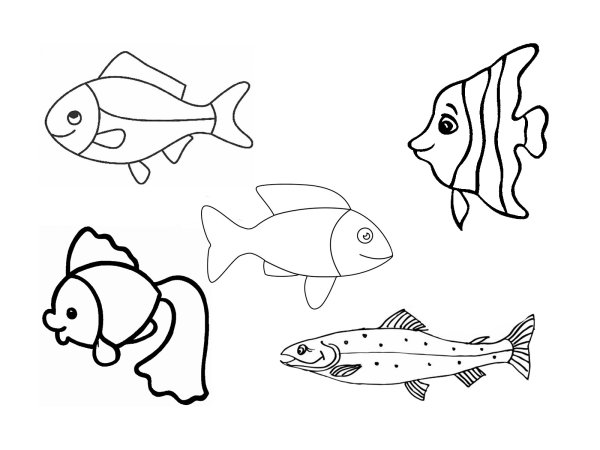 Раскраски рыбки в аквариуме аппликация (45 фото)