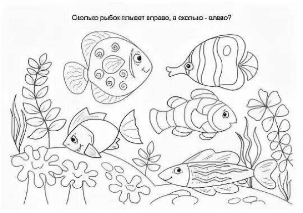 Аквариумные рыбки задания для дошкольников