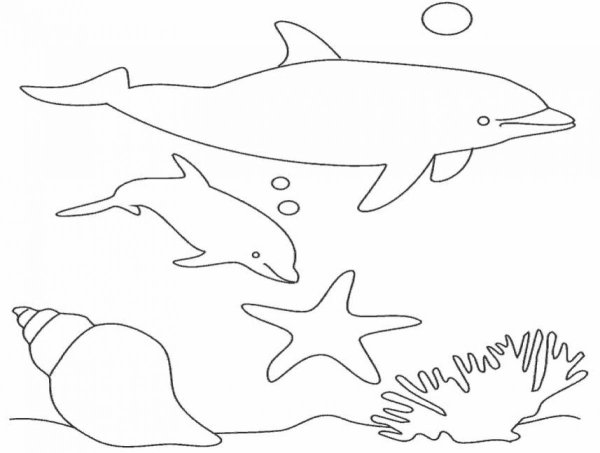 Раскраски морские обитатели Дельфин