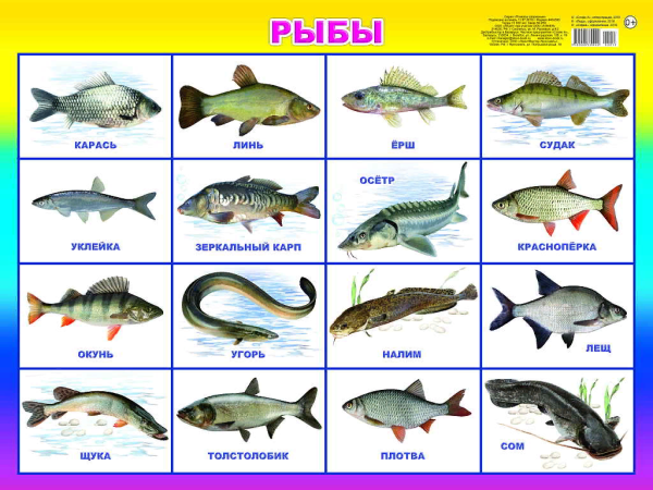 Речные рыбы названия