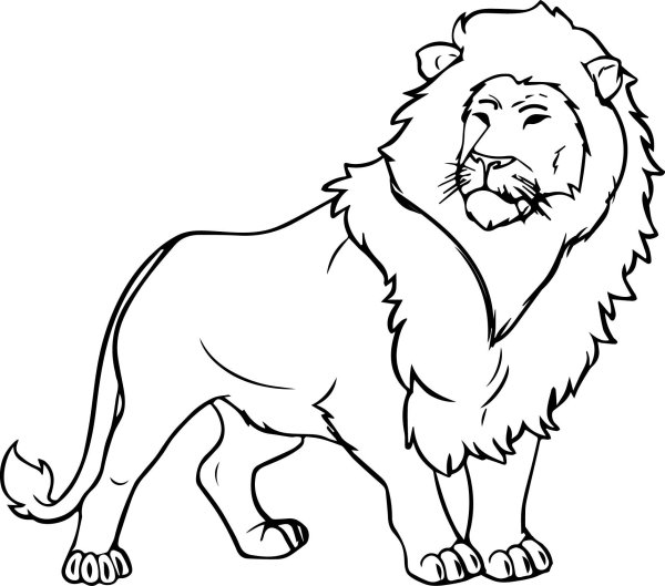 Раскраски рычащий лев (40 фото)