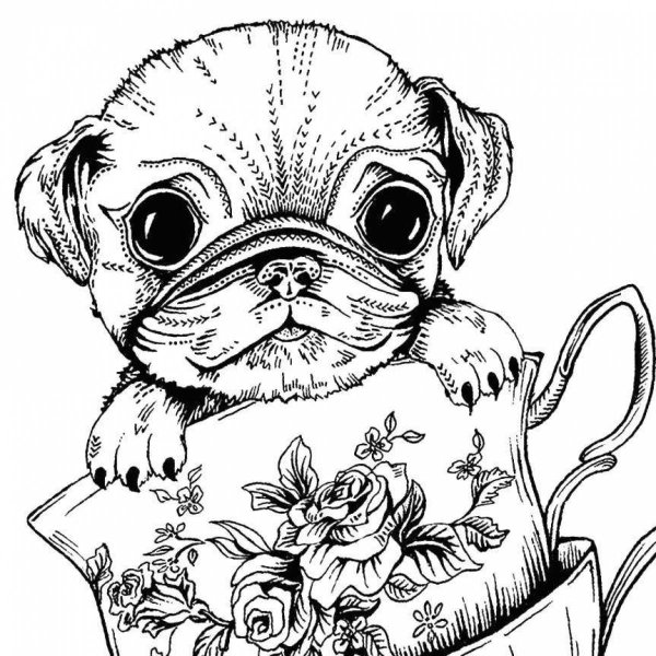 Щенок. Раскраска