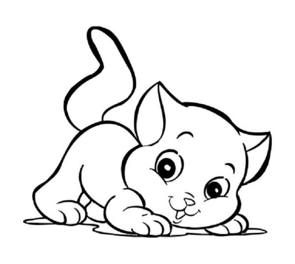 Котенок раскраска для детей
