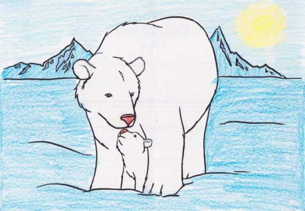 Рисование белого медведя