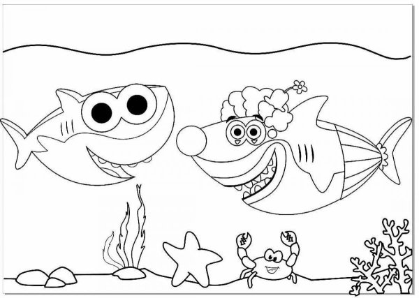 Baby Shark раскраска