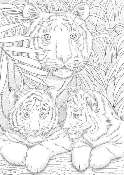 Раскраски семья тигров (46 фото)