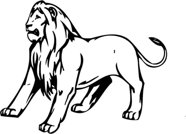 Львиная лапа DXF