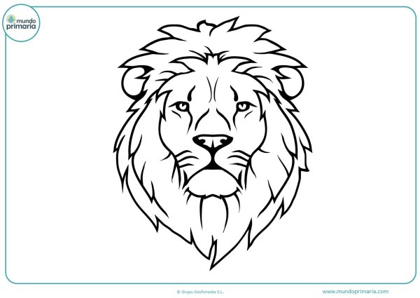Leon pdf