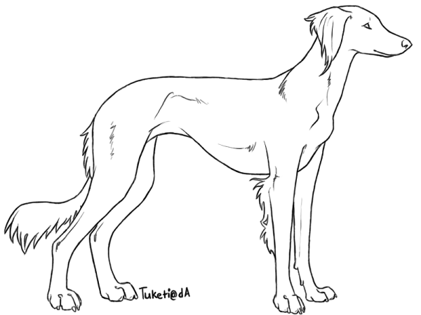 Борзая раскраска