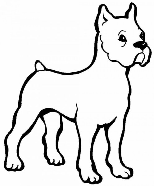 Раскраски собак с фоном (43 фото)