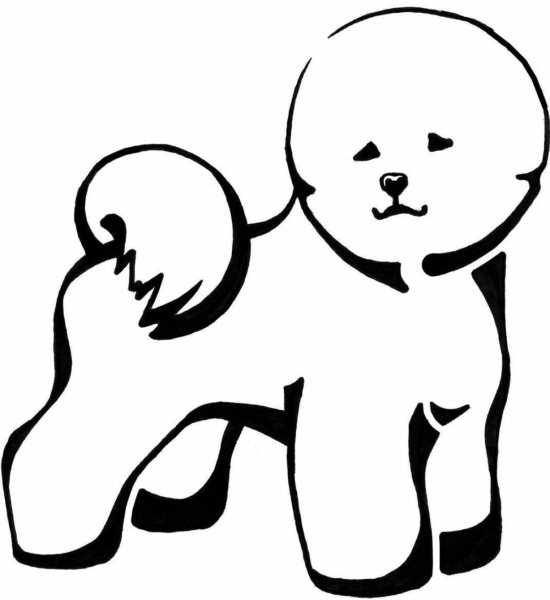 Бишон фризе вектор