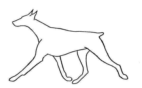 Раскраски собака доберман (39 фото)