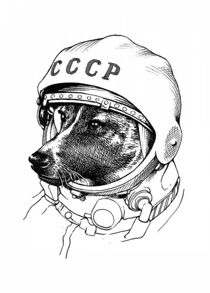 Собака космонавт раскраска