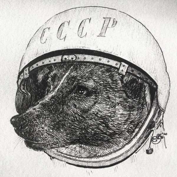 Белка и стрелка собаки космонавты