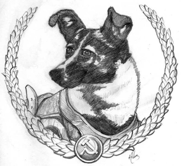 Собака космонавт раскраска