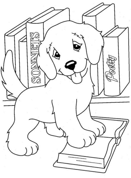 Раскраска собачка с книжкой