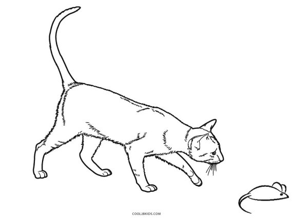 Котик с мышкой раскраска