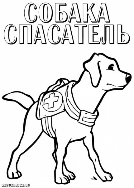 Раскраски служебные собаки