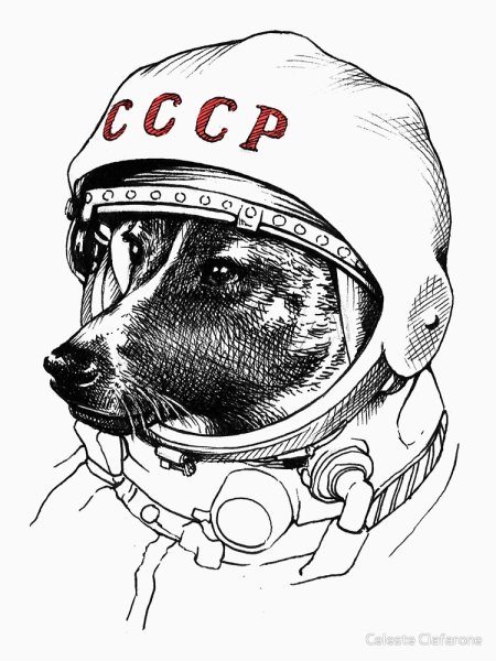 Белка и стрелка озорная семейка раскраска