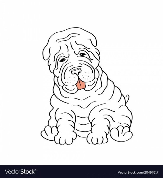 Шарпей щенки раскраска