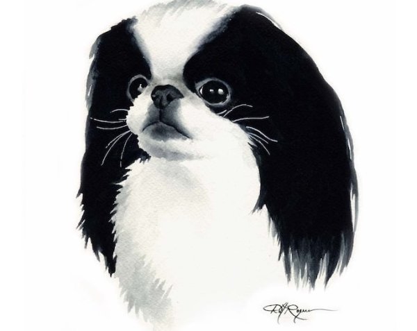 Японский Хин рисунок