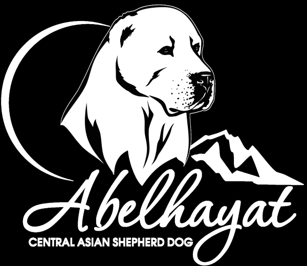 Собака алабай вектор