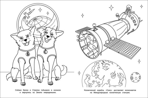 Разукрашка белка и стрелка в космосе