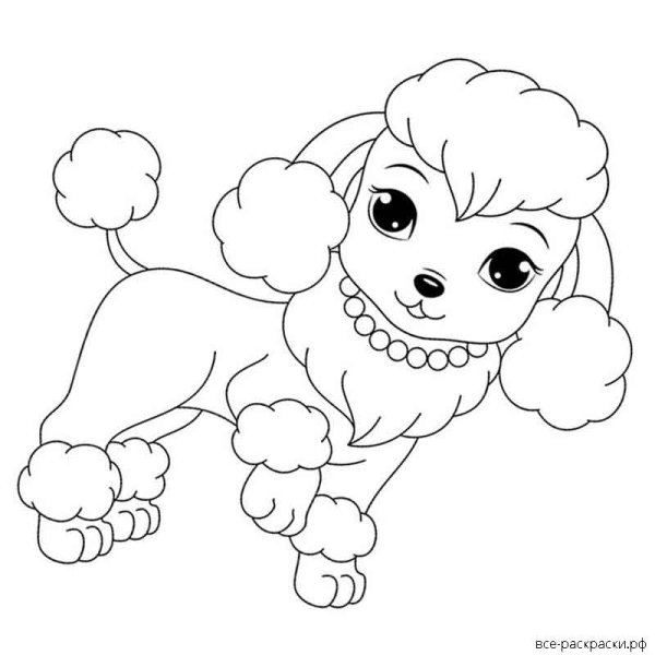 Раскраска кошечки собачки